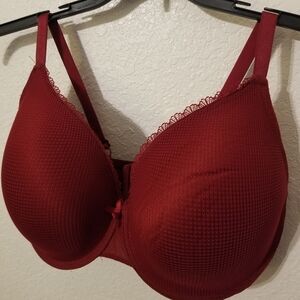 Secret Treasures Elegant Ruby Red Bra